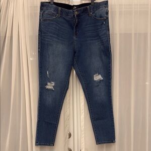 LuLaRoe Blue Skinny Jeans Distressed Style Size 38